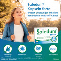 SOLEDUM Kapseln forte 200 mg