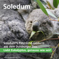 SOLEDUM Kapseln forte 200 mg