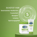 CETAPHIL Feuchtigkeitscreme