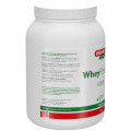 WHEYPROTEIN lactosefrei Vanille Pulver